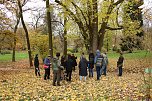 Artistik zwischen Baum und Borke - im Park Hohenrode lud man zu einem k&uuml;nsterlischen Waldspaziergang (Foto: agl)