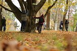 Artistik zwischen Baum und Borke - im Park Hohenrode lud man zu einem k&uuml;nsterlischen Waldspaziergang (Foto: agl)