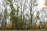 Artistik zwischen Baum und Borke - im Park Hohenrode lud man zu einem k&uuml;nsterlischen Waldspaziergang (Foto: agl)