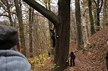 Artistik zwischen Baum und Borke - im Park Hohenrode lud man zu einem k&uuml;nsterlischen Waldspaziergang (Foto: agl)