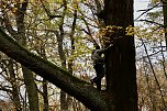 Artistik zwischen Baum und Borke - im Park Hohenrode lud man zu einem k&uuml;nsterlischen Waldspaziergang (Foto: agl)