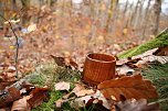 Artistik zwischen Baum und Borke - im Park Hohenrode lud man zu einem k&uuml;nsterlischen Waldspaziergang (Foto: agl)