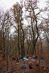 Artistik zwischen Baum und Borke - im Park Hohenrode lud man zu einem k&uuml;nsterlischen Waldspaziergang (Foto: agl)