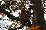 Artistik zwischen Baum und Borke - im Park Hohenrode lud man zu einem k&uuml;nsterlischen Waldspaziergang (Foto: agl)