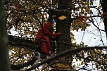Artistik zwischen Baum und Borke - im Park Hohenrode lud man zu einem k&uuml;nsterlischen Waldspaziergang (Foto: agl)
