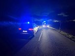 Unfall mit Fu&szlig;g&auml;nger am Nachmittag (Foto: S.Dietzel)
