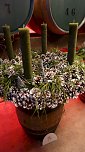 Willkommen im Weihnachtswunderland (Foto: nnz) Willkommen im Weihnachtswunderland (Foto: nnz)