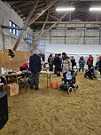 Kleinbodunger Weihnachtsmarkt (Foto: D.Steinecke)