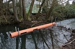 Biberbau-Drainage in der Salza (Foto: agl)