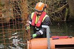 Biberbau-Drainage in der Salza (Foto: agl)