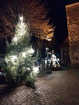 Advent auf den H&ouml;fen in Neustadt/Harz - Leuchtender Weihnachtsbaum (Foto: Peter Sieckel)