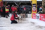 Hundeschlittenrennen im Harz (Foto: Peter Blei)