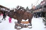 Hundeschlittenrennen im Harz (Foto: Peter Blei)