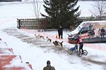Hundeschlittenrennen im Harz (Foto: Peter Blei)