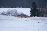 Hundeschlittenrennen im Harz (Foto: Peter Blei)