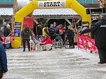 Hundeschlittenrennen im Harz (Foto: Peter Blei)