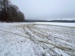 Autofahrer zerst&ouml;ren Gr&uuml;nfl&auml;chen (Foto: S. Dietzel)