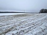 Autofahrer zerst&ouml;ren Gr&uuml;nfl&auml;chen (Foto: S. Dietzel)