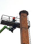Windeh&auml;user Storchennest wird f&uuml;r den Fr&uuml;hling repariert (Foto: Enrico Hoffmann)