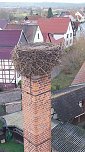 Windeh&auml;user Storchennest wird f&uuml;r den Fr&uuml;hling repariert (Foto: Enrico Hoffmann)