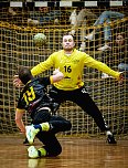 Fotos vom Handball-Wochenende (Foto: NSV)