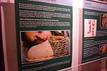 Gut gelaufen - im Tabakspeicher wurde gestern die neue Sonderausstellung zum Thema Schuhe er&ouml;ffnet (Foto: Hans Georg Backhaus)