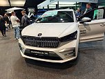 Peter Blei unterwegs auf der Automesse Erfurt (Foto: Peter Blei)