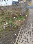 Aufgegessen und entsorgt (Foto: privat)