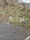 Aufgegessen und entsorgt (Foto: privat)