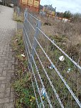 Aufgegessen und entsorgt (Foto: privat)