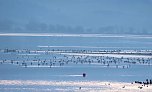 Besuch am Stausee (Foto: P.Blei)