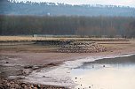Besuch am Stausee (Foto: P.Blei)