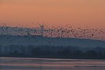 Besuch am Stausee (Foto: P.Blei)