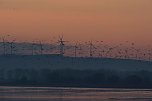 Besuch am Stausee (Foto: P.Blei)