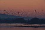 Besuch am Stausee (Foto: P.Blei)