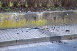 Unfall mir Fahrerflucht in Gro&szlig;furra (Foto: S.Dietzel)