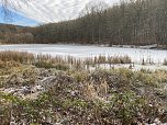 Impressionen einer Wanderung im Januar (Foto: Wolfgang Lehmann)