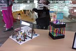 In der Galerie der Kreissparkasse stellen die K&uuml;nstler der pro vita Akademie ihre Werke aus (Foto: Hans Georg Backhaus)