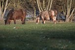 Unterwegs in der kalten Windl&uuml;cke (Foto: Peter Blei)