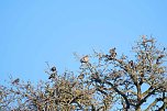 Unterwegs in der kalten Windl&uuml;cke (Foto: Peter Blei)