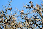 Unterwegs in der kalten Windl&uuml;cke (Foto: Peter Blei)