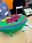 Junge Forscherinnen und Forscher pr&auml;sentieren ihre spannenden Projekte beim Regionalwettbewerb Jugend forscht Nordth&uuml;ringen an der Hochschule Nordhausen. (Foto: Tina Bergknapp)