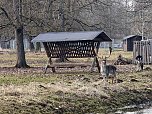 Fr&uuml;hlingsvorboten im Stadtpark und im Park Hohenrode (Foto: Peter Blei)
