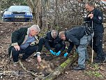 Spurensicherung am Fundort der &Uuml;berreste (Foto: S. Dietzel)