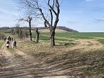 Steinkreuze, Grenzsteine, Mayas und andere Merkw&uuml;rdigkeiten. Wanderung im Februar (Foto: Wolfgange Lehmann)