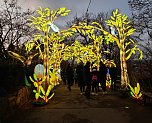 Magische Lichterwelten in Halle (Foto: P.Blei)