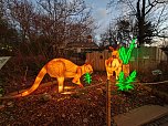 Magische Lichterwelten in Halle (Foto: P.Blei)