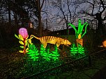Magische Lichterwelten in Halle (Foto: P.Blei)