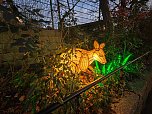 Magische Lichterwelten in Halle (Foto: P.Blei)
