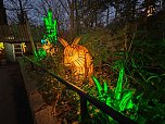 Magische Lichterwelten in Halle (Foto: P.Blei)